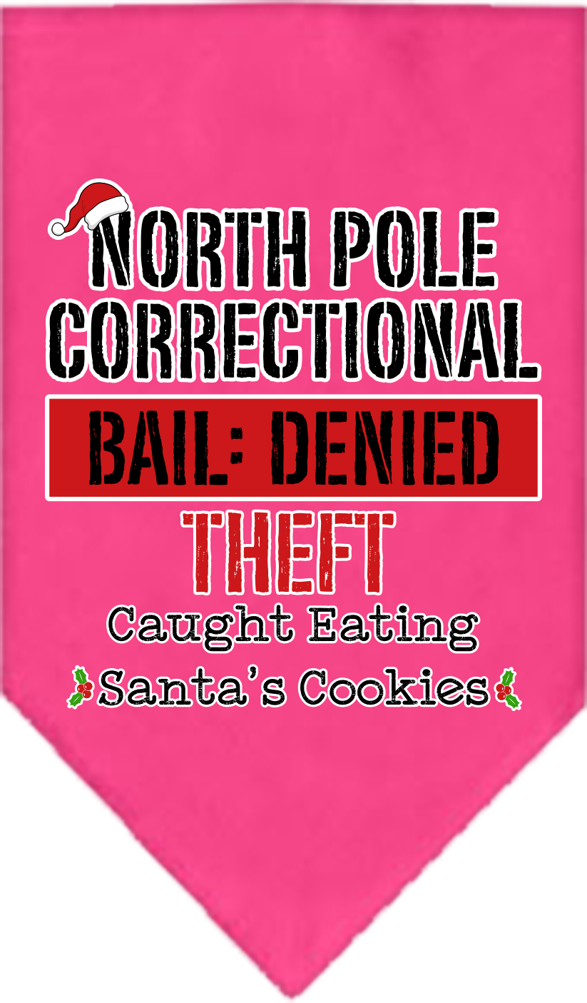 North Pole Correctional Screen Print Bandana Bright Pink Size Large